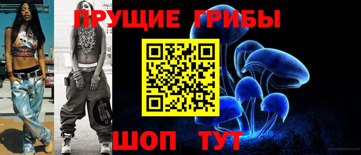 Кунгур  Псилоцибиновые грибы Cubensis  Вход с VPN 